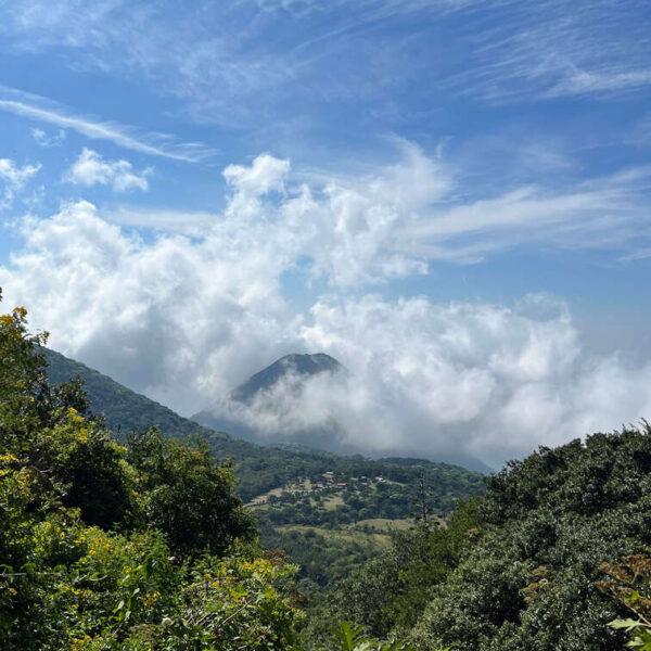 View from Santa Ana volcano hike.