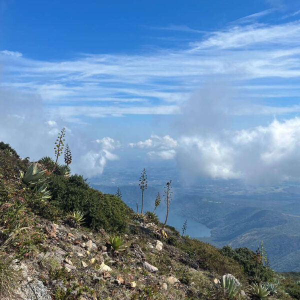 View of a lake from the top of a mountain.