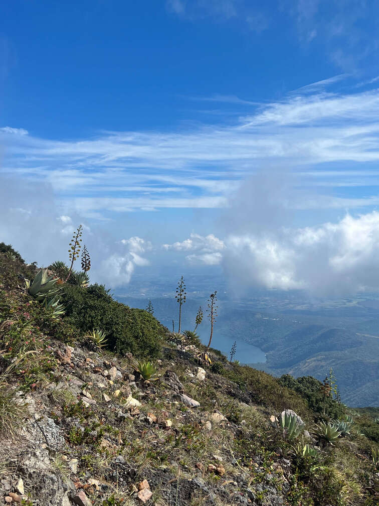 View of a lake from the top of a mountain.