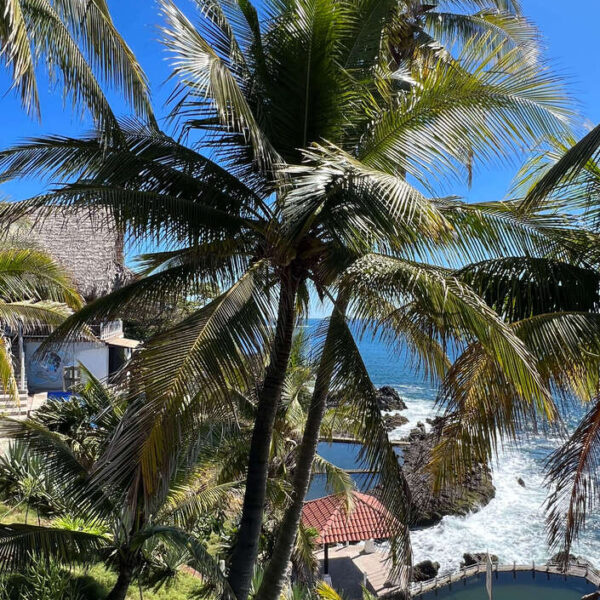 View of the ocean from a hotel, and palm trees on the sides.