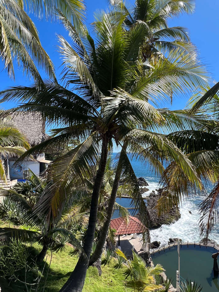 View of the ocean from a hotel, and palm trees on the sides.