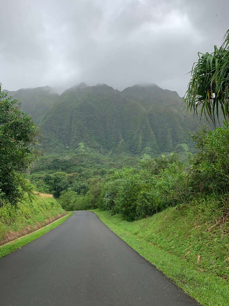 View of the mountains in the Hoomaluhia botanical garden in Oahu.