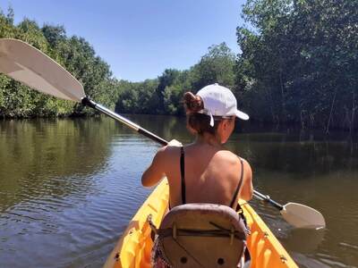 Kayaking in a manglar in El Paredon.