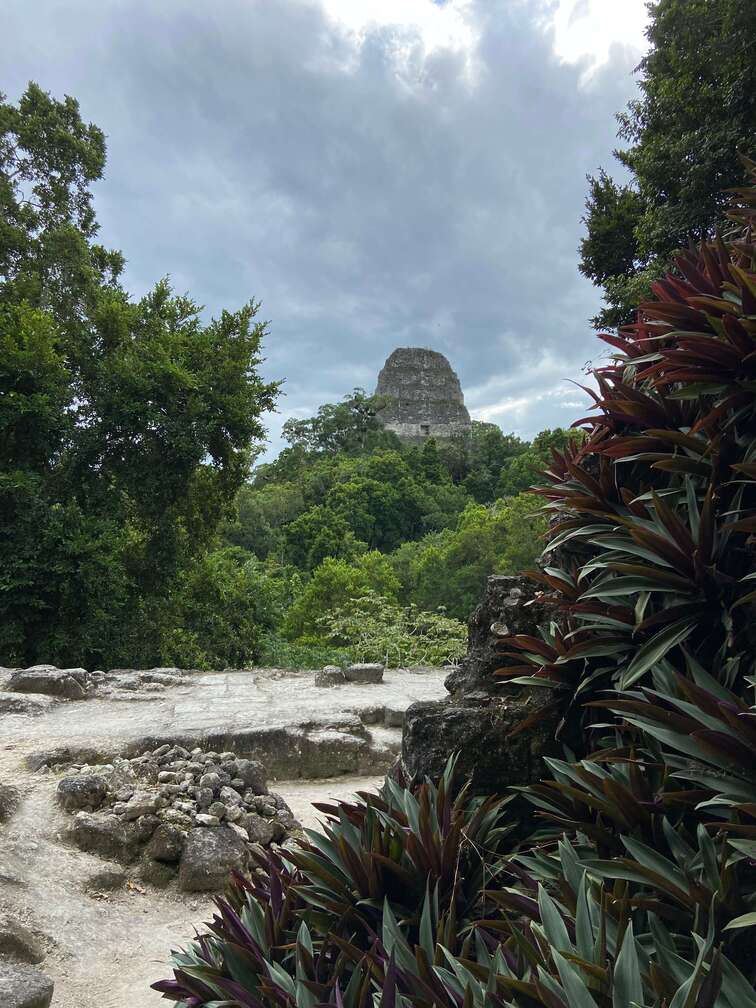 The jungle and, in the back, the ruins of a Mayan construction.